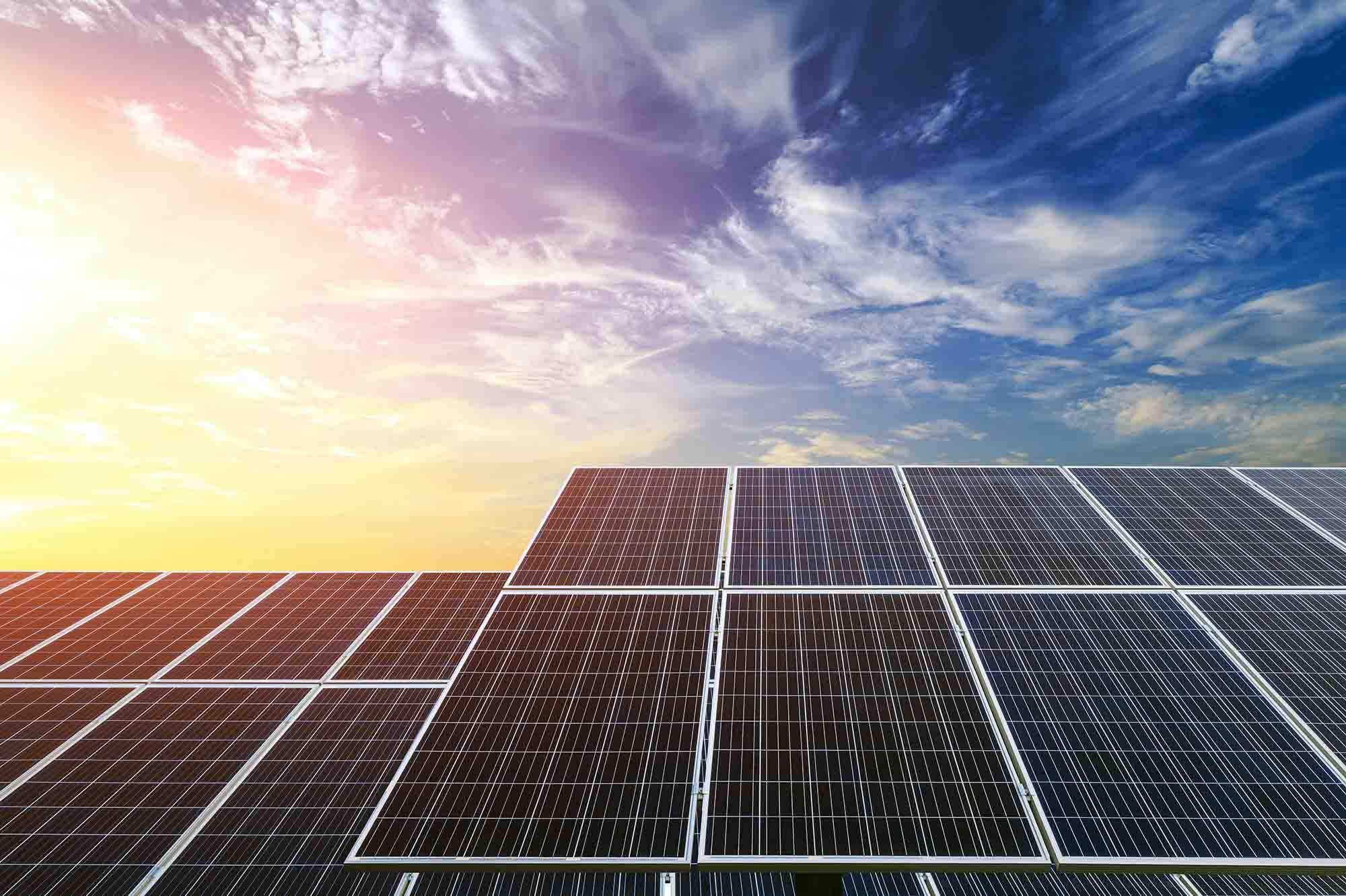 Solar panels absorbing sunlight during sunset, symbolizing Avalon Homes’ commitment to Net Zero energy-efficient living.